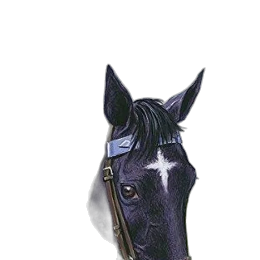 crown, jewelry, animal, mask transparent PNG cut-out