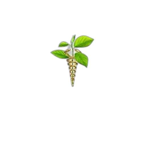 flower, jewelry, staff, crown transparent PNG cut-out