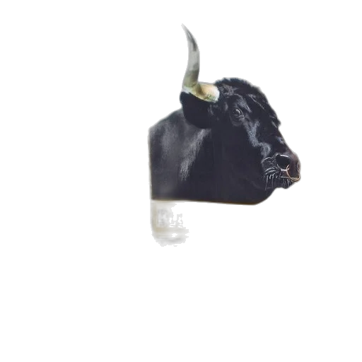 animal, mask, crown, creature transparent PNG cut-out