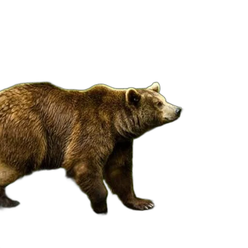 animal, creature, staff, concept art transparent PNG cut-out
