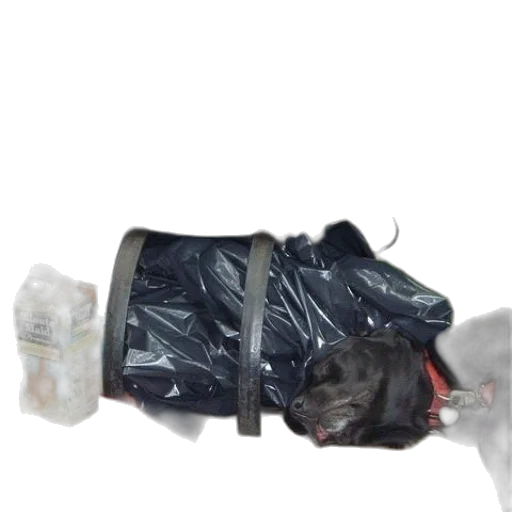 jacket, bottle, shoes, mask transparent PNG cut-out