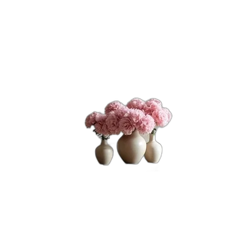 crown, flower, hair, hat transparent PNG cut-out