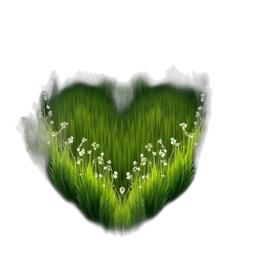 flower, crown, tree, jewelry transparent PNG cut-out