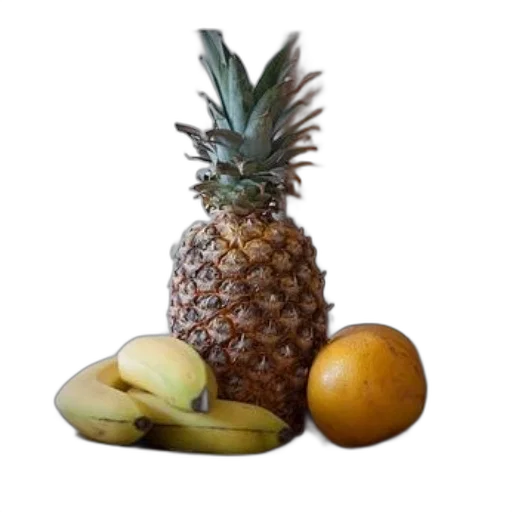 food, crown, animal, hat transparent PNG cut-out