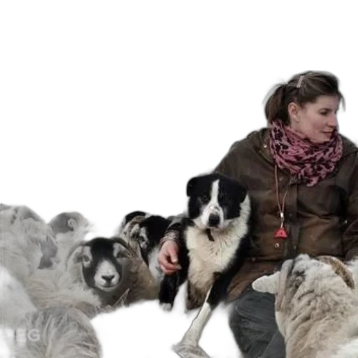 snow, yorkshire, shepherdess, amanda transparent PNG cut-out