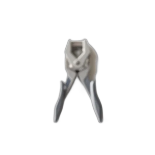 jewelry, furniture, staff, animal transparent PNG cut-out