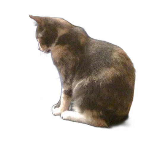 animal, staff, creature, robot transparent PNG cut-out