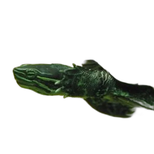 staff, dragon, animal, weapon transparent PNG cut-out