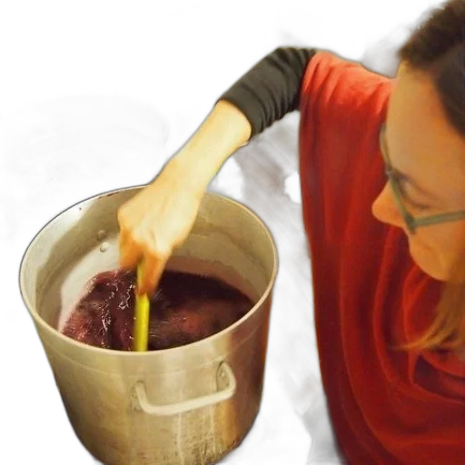 staff, person, red, shirt transparent PNG cut-out