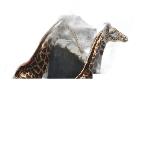 shoes, mask, hat, crown transparent PNG cut-out