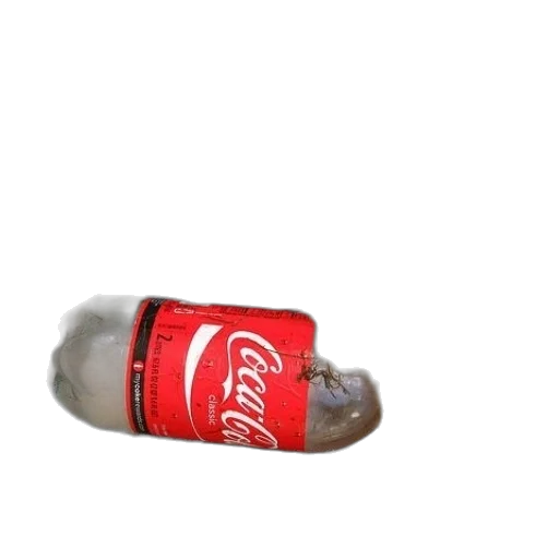 bottle, shoes, food, animal transparent PNG cut-out