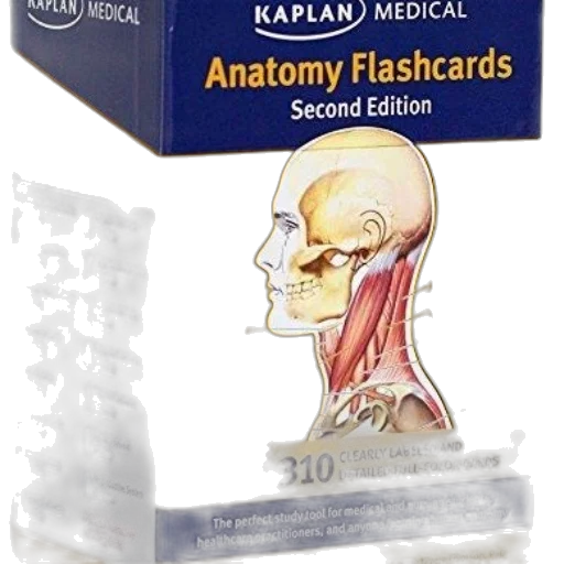 kaplan, medical, anatomy, flashcards transparent PNG cut-out