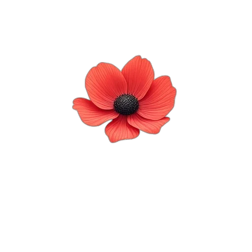 flower, crown, hat, jewelry transparent PNG cut-out