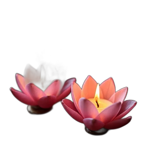 flower, jewelry, crown, 3d render transparent PNG cut-out