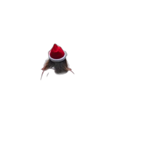 hat, creature, animal, robot transparent PNG cut-out
