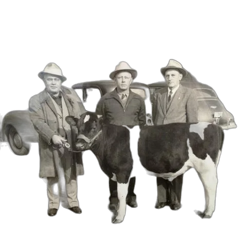 animal, staff, hat, car transparent PNG cut-out