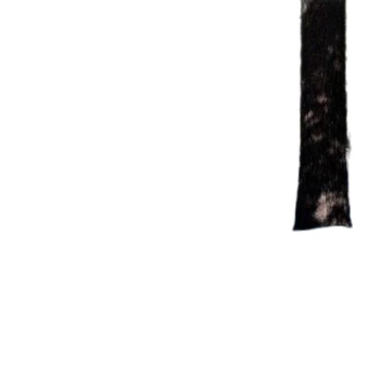 tree, sword, staff, dress transparent PNG cut-out