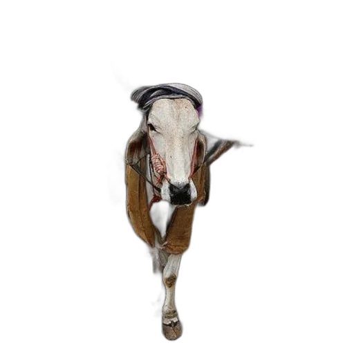 animal, hat, jacket, staff transparent PNG cut-out
