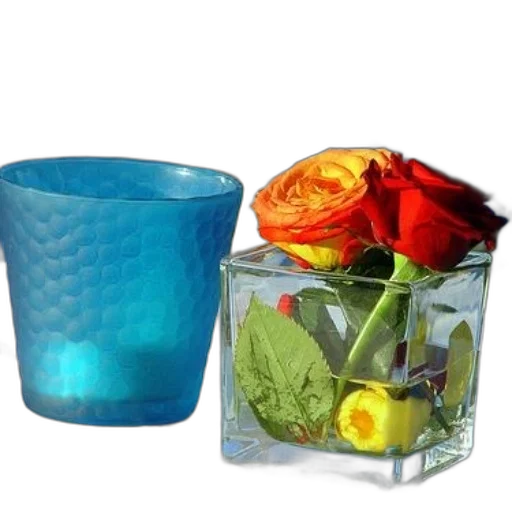 flower, bottle, jewelry, crown transparent PNG cut-out