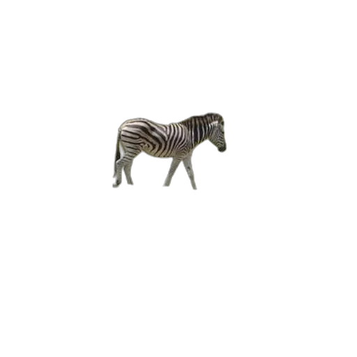 animal, creature, furniture, jewelry transparent PNG cut-out