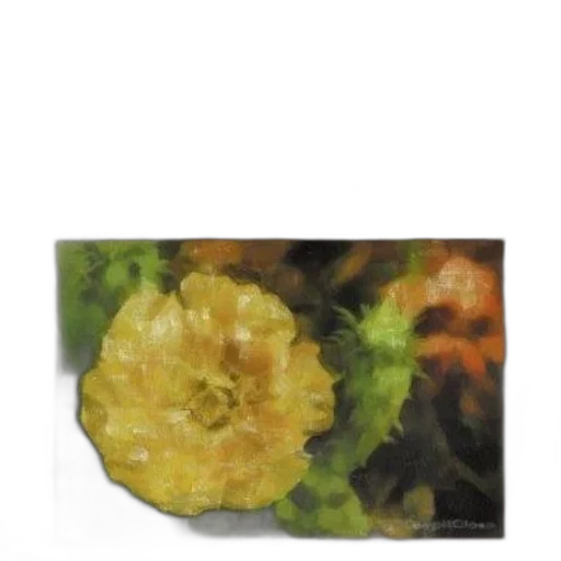 flower, crown, food, jewelry transparent PNG cut-out