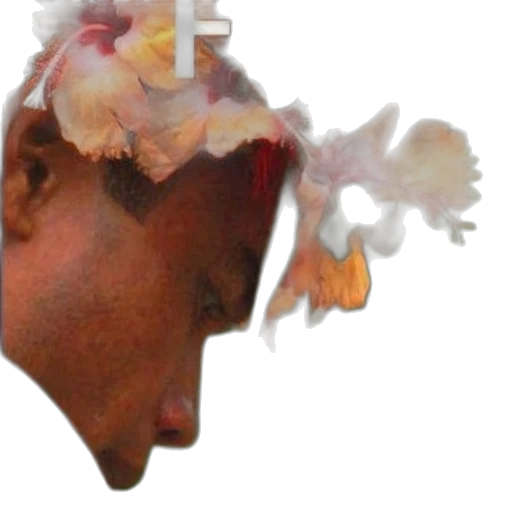 crown, face, mask, hat transparent PNG cut-out