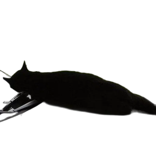 staff, animal, weapon, sword transparent PNG cut-out