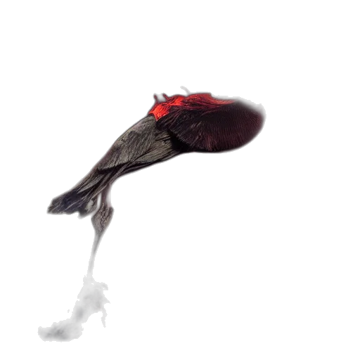 umbrella, shoes, hat, weapon transparent PNG cut-out