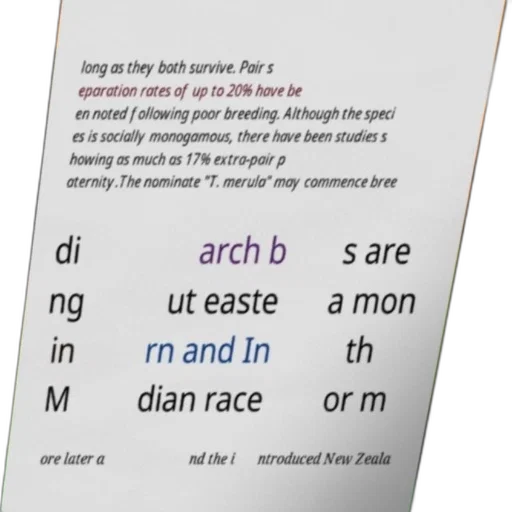 crown, pastel, text-based, image transparent PNG cut-out
