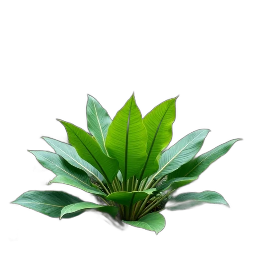 tree, flower, crown, staff transparent PNG cut-out