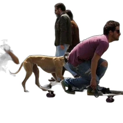 animal, creature, concept art, photorealistic transparent PNG cut-out