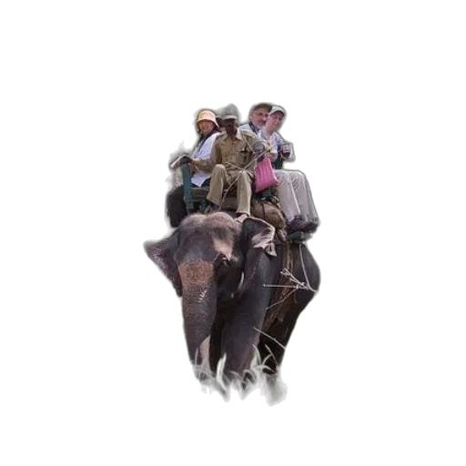 hat, animal, jacket, staff transparent PNG cut-out