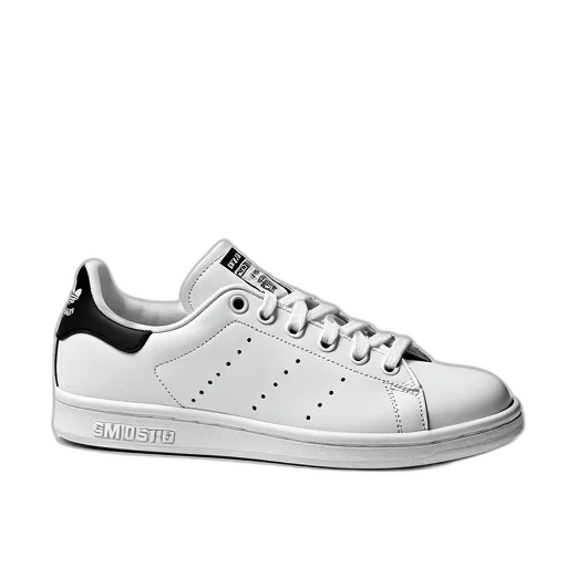 shoes, photorealistic, monochrome, stan transparent PNG cut-out
