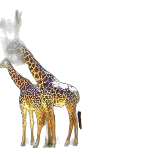 animal, creature, 3d render, concept art transparent PNG cut-out
