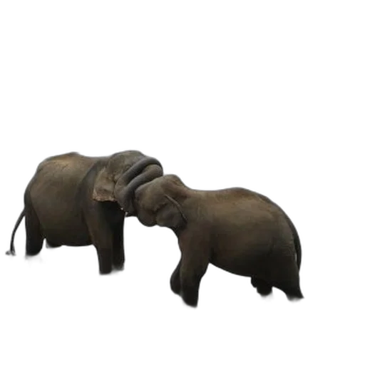 animal, creature, 3d render, concept art transparent PNG cut-out