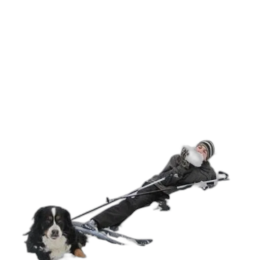 staff, weapon, animal, umbrella transparent PNG cut-out