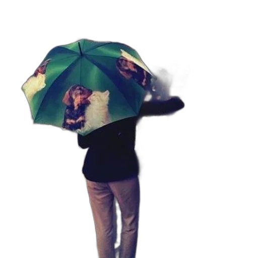 umbrella, jacket, staff, hat transparent PNG cut-out
