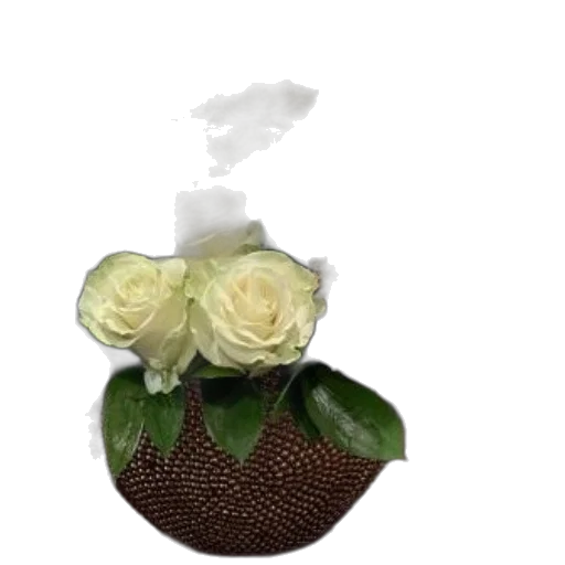 crown, flower, hat, jewelry transparent PNG cut-out