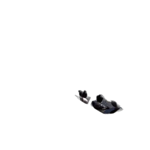 shoes, animal, robot, creature transparent PNG cut-out