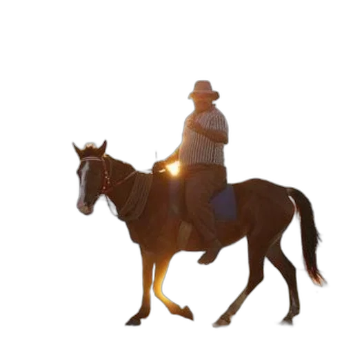 hat, animal, staff, jacket transparent PNG cut-out