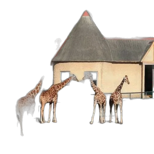 animal, building, 3d render, concept art transparent PNG cut-out