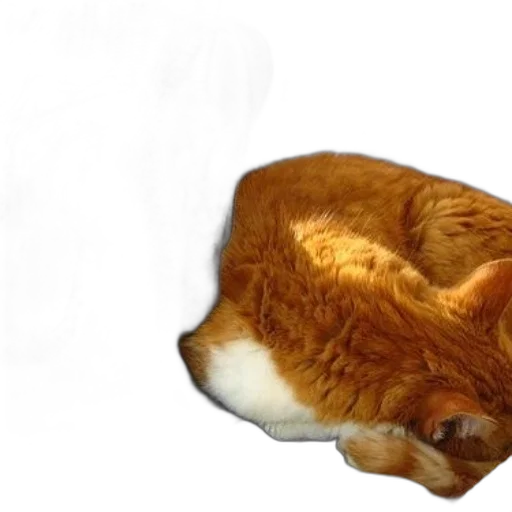 animal, creature, staff, food transparent PNG cut-out
