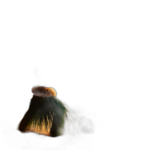 hat, hair, shoes, animal transparent PNG cut-out