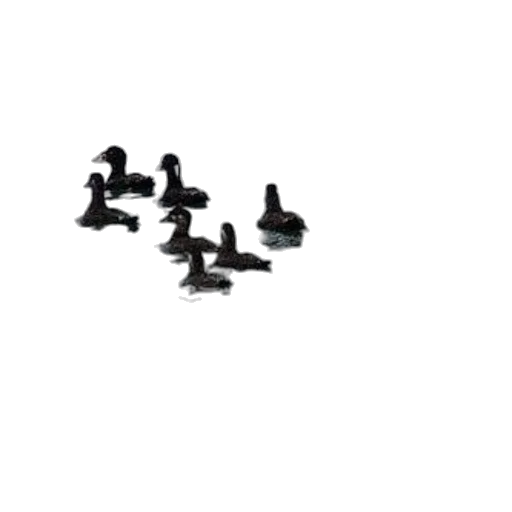 animal, weapon, shoes, furniture transparent PNG cut-out
