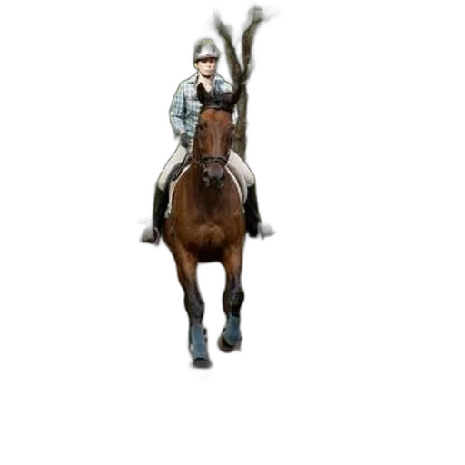 animal, staff, weapon, hat transparent PNG cut-out