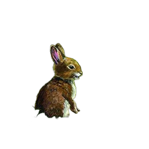 animal, creature, staff, food transparent PNG cut-out