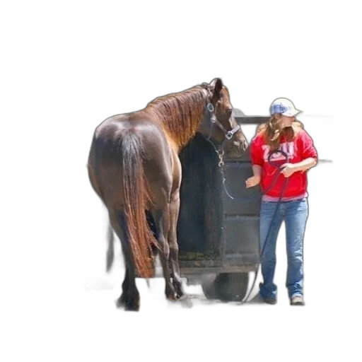 animal, hat, woman, red transparent PNG cut-out