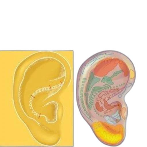 jewelry, book, cover, titled transparent PNG cut-out