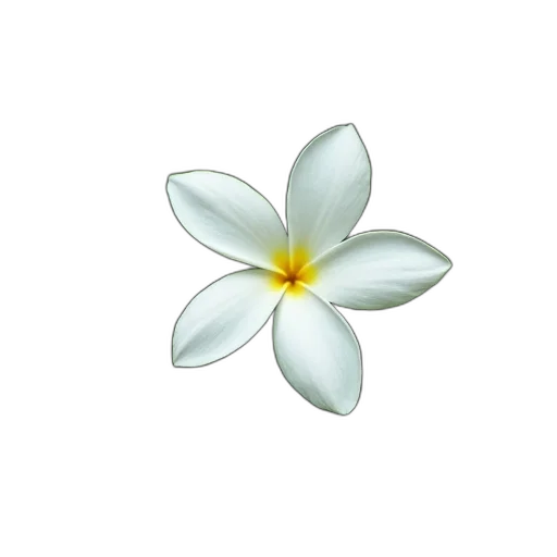 flower, jewelry, crown, staff transparent PNG cut-out