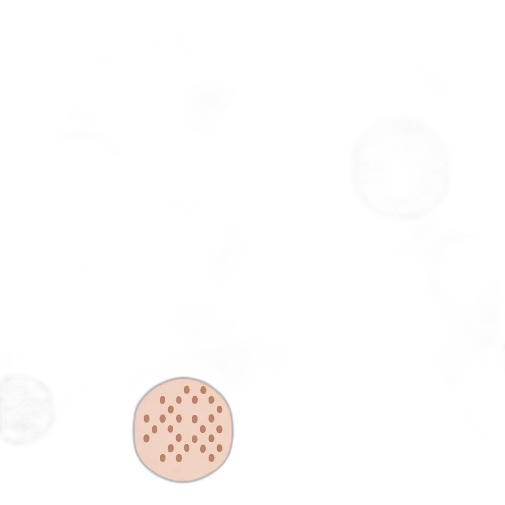 staff, jewelry, face, food transparent PNG cut-out